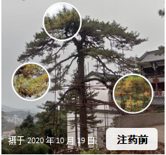 1636342672798153.png fd98ce3dd01ddaf739193fe83aa457f.png