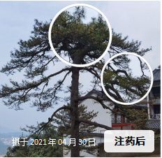 1636342677941922.png e2c9098386becad90de0761e452a049.png