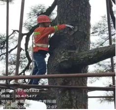 1636342791647714.png 7606e4aa530cd038758e9b4e80bed37.png