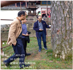 1636342905584758.png b685678670ab4aac01d2dfb2e904869.png