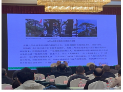 1636342974233318.png 5cbd1361ab3283fcaabaf498fc150e9.png