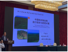 1636342980881161.png d920ad31fa2718bd79a8fea0f18259f.png