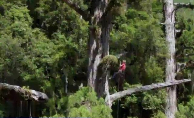 1665475664623100.png 20221011 02.png