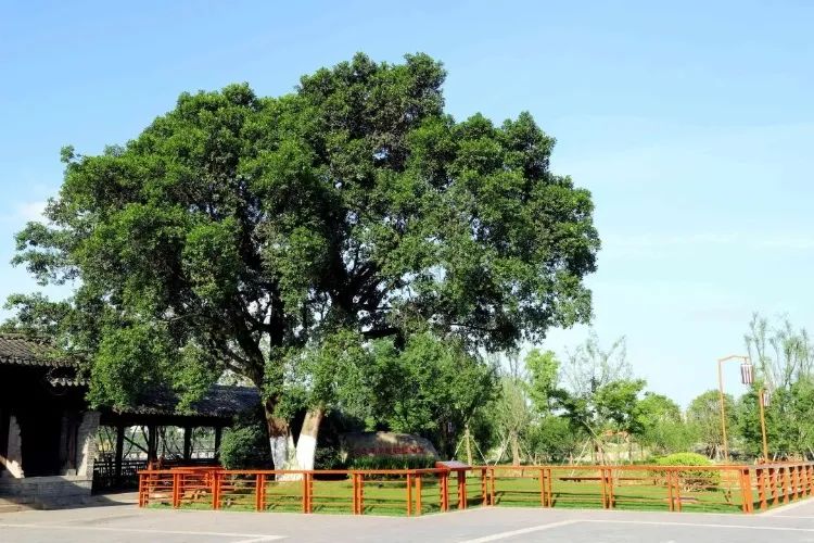 1666336111106602.jpg 20221021 01.jpg